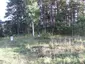 Aučynų piliakalnis