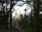 Pena Park