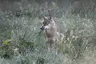 Tierpark Gotha