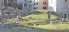 Templo de Belona