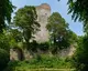 Ruine Altbodman