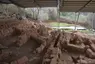 Necropoli di San Giovenale