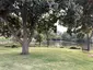 Mitchell Park