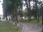 Садгірський