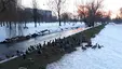 Park Antoniuk
