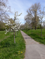 Westerveldpark