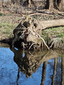 Schlosspark Buckow