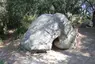Roca Foradada de Can Planes