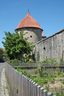 Federolfsturm