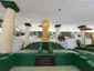 Grand Mosque of Bandung
