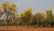 Sanjeevaiah Park
