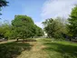 Marion Park