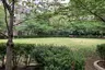 Pumphouse Park