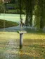 Rengerspark