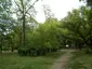 Haller park