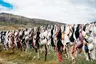 Cardrona Bra Fence