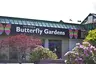 Victoria Butterfly Gardens