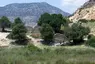Andriaca