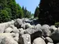 Zlatnite Mostove