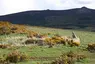 Hatton of Ardoyne stone circle