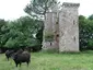 Woodhouse Tower