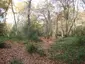 Seven Ways Plain Hillfort