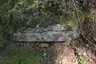 Waldburg