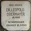 Dr. Leopold Obermayer