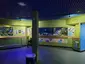 National Marine Aquarium