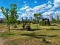 Botanical Garden