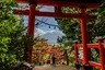 Arakurayama Sengen Park