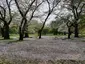 Yoyogi Park