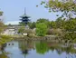 Nara Park