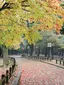 Nara Park