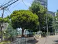 神宮前公園