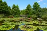 草津市立水生植物公園みずの森