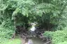 Kentland Park