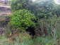 La Cueva de La Vaquera