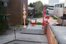 A Sculpture Environment