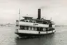 Toroa