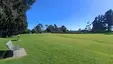 Tauranga Domain