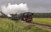 Veluwsche Stoomtrein Maatschappij