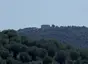 Tino di Moscona