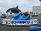 Kobe Suma Sea World