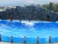 Batumi Dolphinarium Batumi Dolphinarium