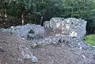 Castrum Perticae