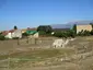 Anfiteatro romano di Marruvium