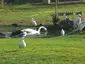 Tel Aviv University Zoo