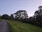 Wairaki / Lynfield Reserve