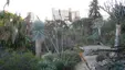 Mildred E. Mathias Botanical Garden